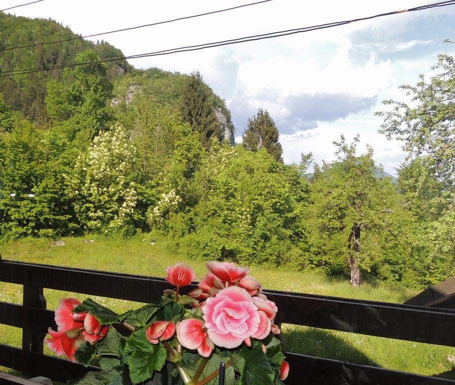 Rooms Zupancic Bohinjska Bela Buitenkant foto