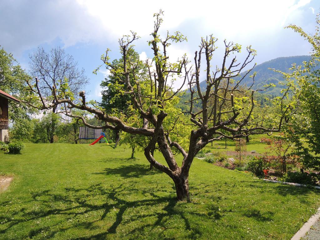 Rooms Zupancic Bohinjska Bela Buitenkant foto