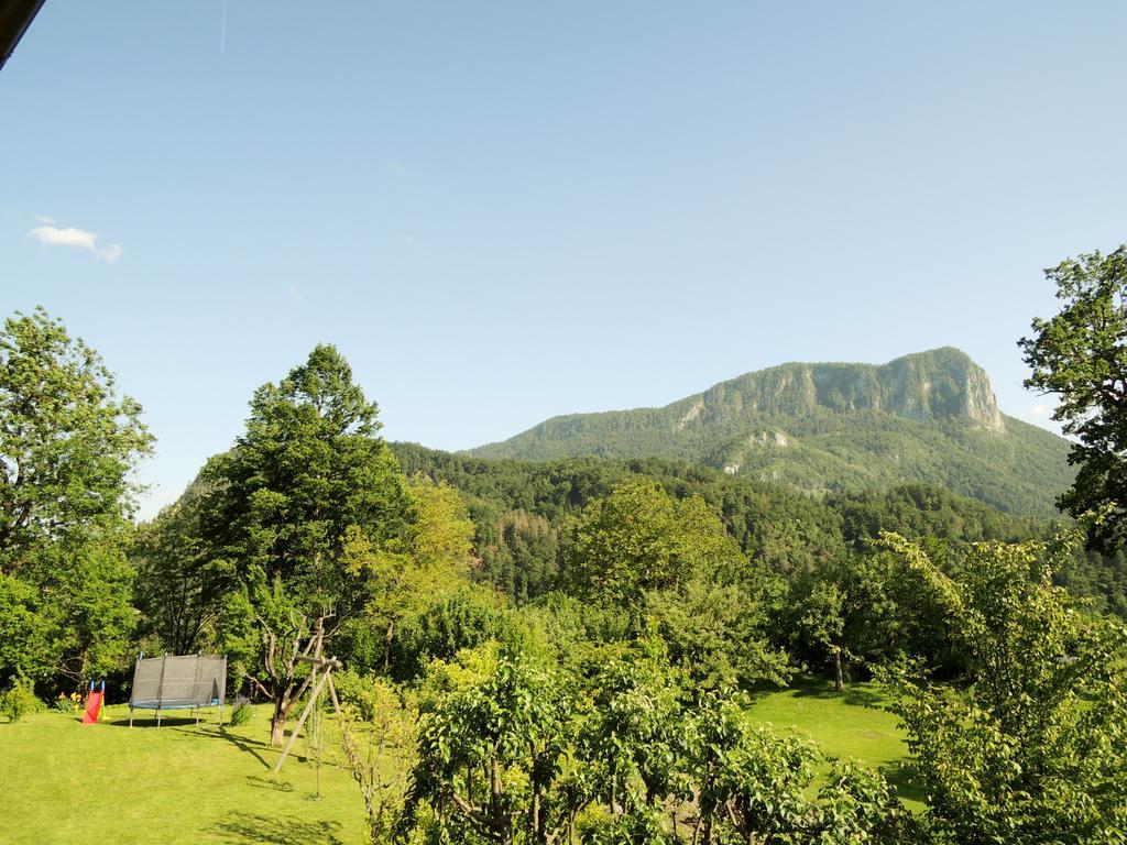 Rooms Zupancic Bohinjska Bela Buitenkant foto