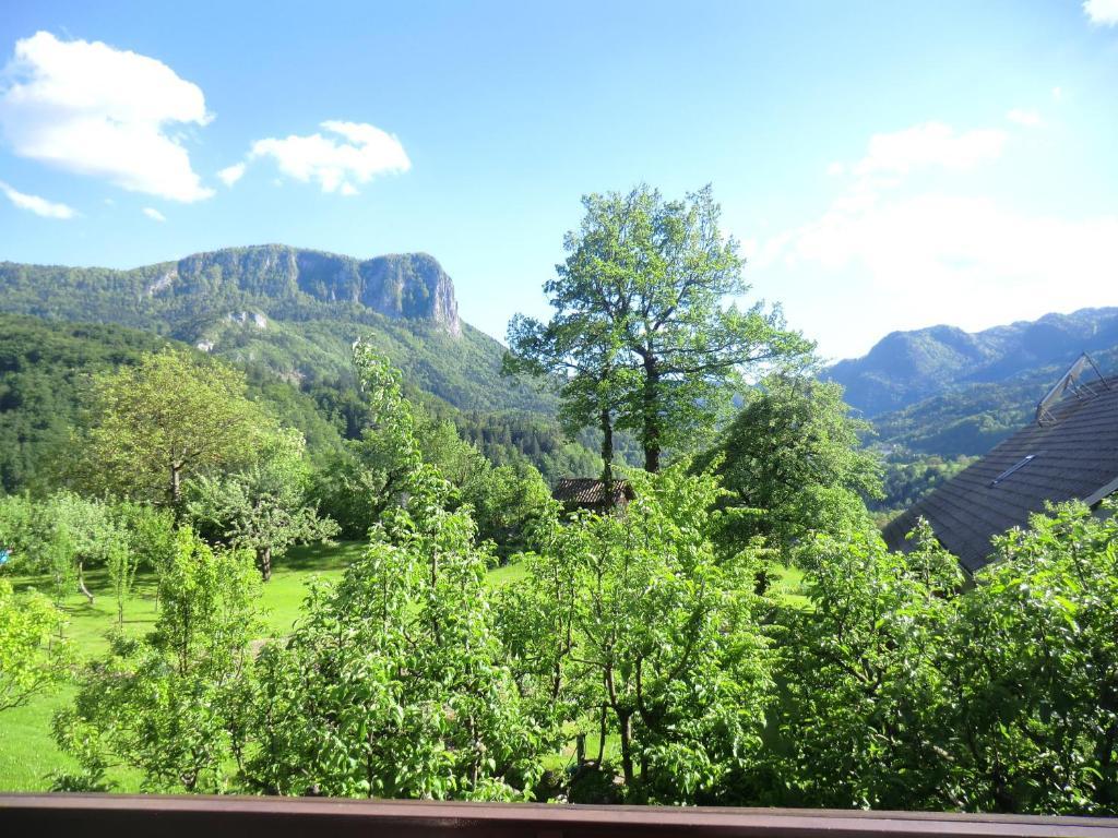Rooms Zupancic Bohinjska Bela Kamer foto